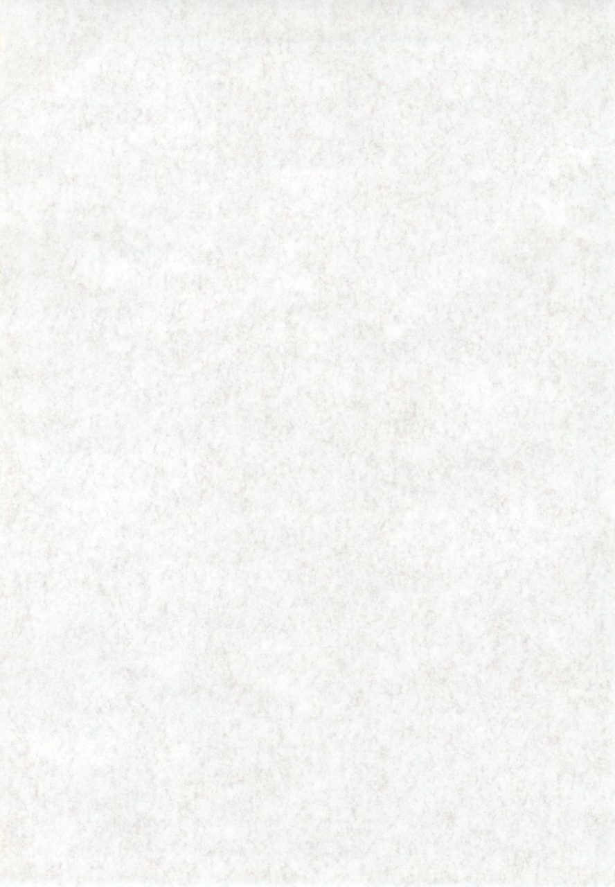 c71-fiance-tank-matsuhei-ami-fiance-tsuushin-2006-fuyu-no-gou-bleach-code-geass