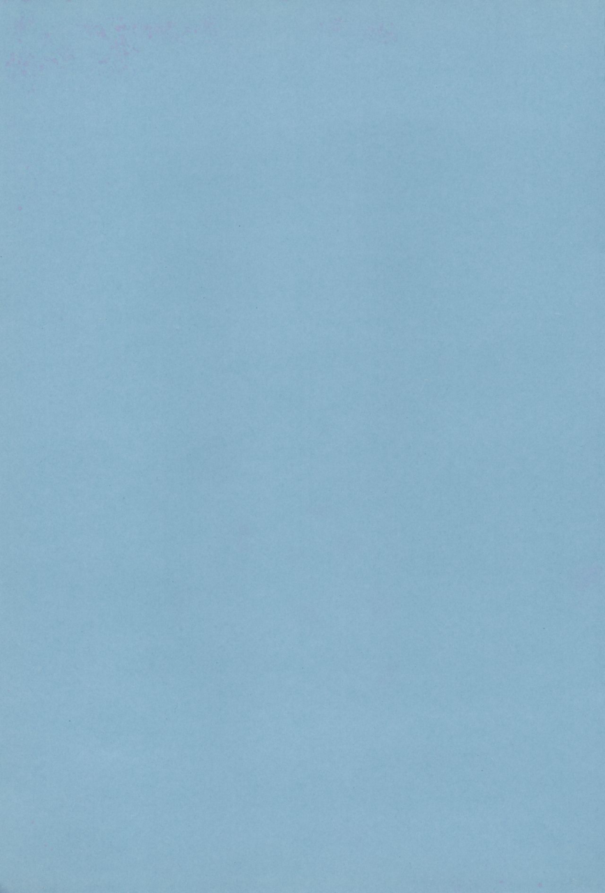 c74-dew-drop-sakurai-kouki-fruits-clipper-bleach