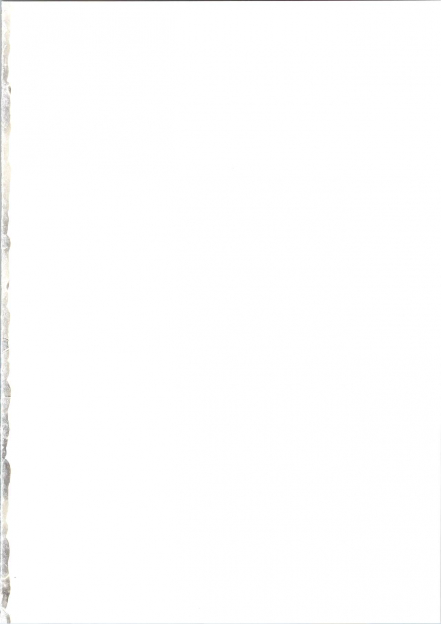 c96-gambler-club-kousaka-jun-star-twinkle-punicure-2-star-twinkle-pretty-cure