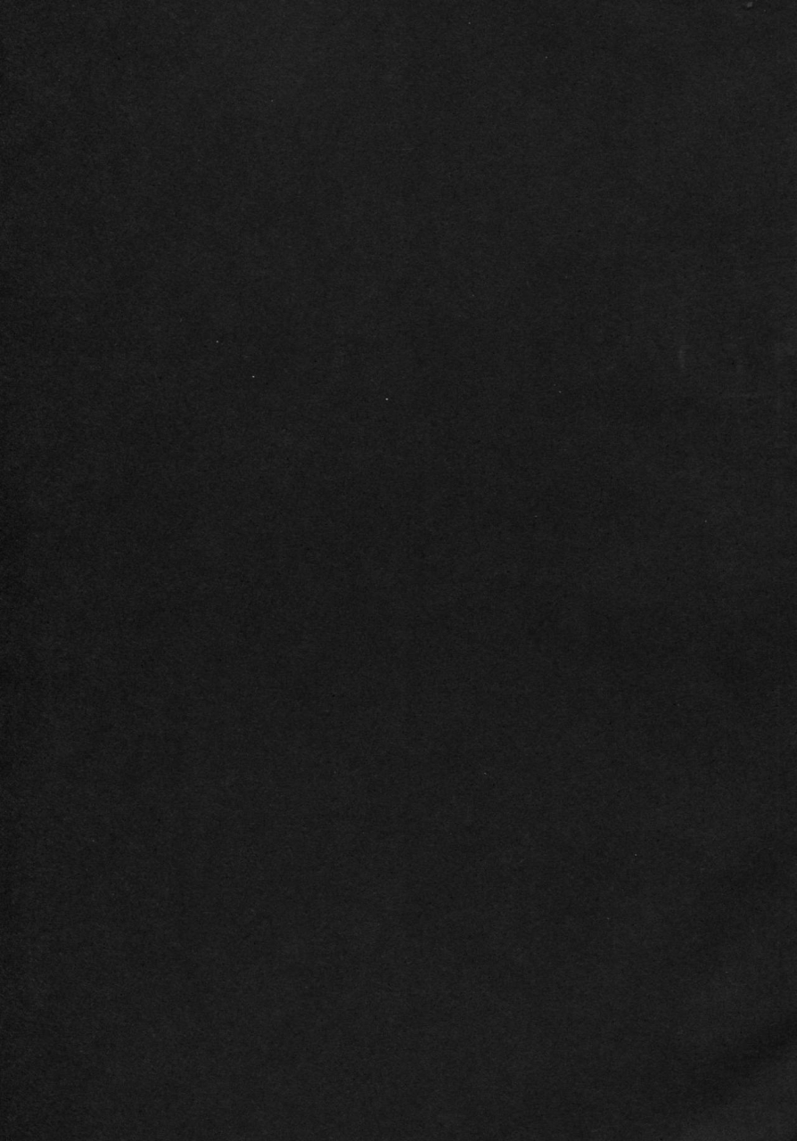 c85-ahobaka-aho-aisuru-hinba-ga-tanetsuke-sarete-english-decensored-sahahennojin