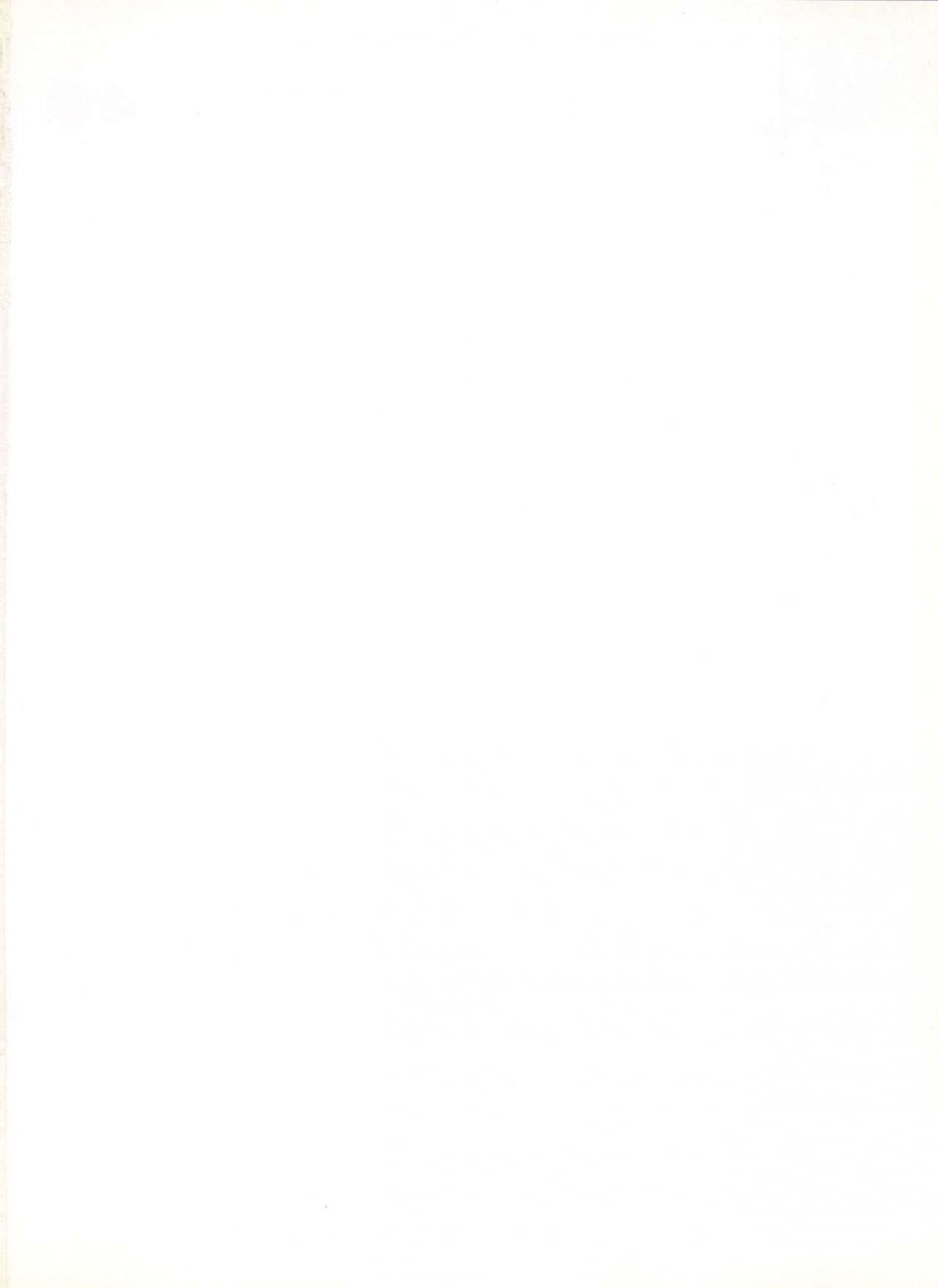 c40-pussy-cat-seisaku-iinkai-various-pussy-cat-vol-20-silent-mobius-silent-mobius-cyber-formula-street-fighter