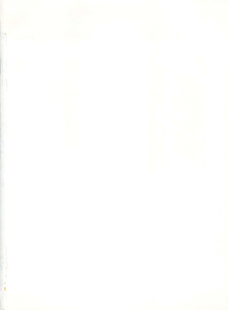 c40-pussy-cat-seisaku-iinkai-various-pussy-cat-vol-20-silent-mobius-silent-mobius-cyber-formula-street-fighter