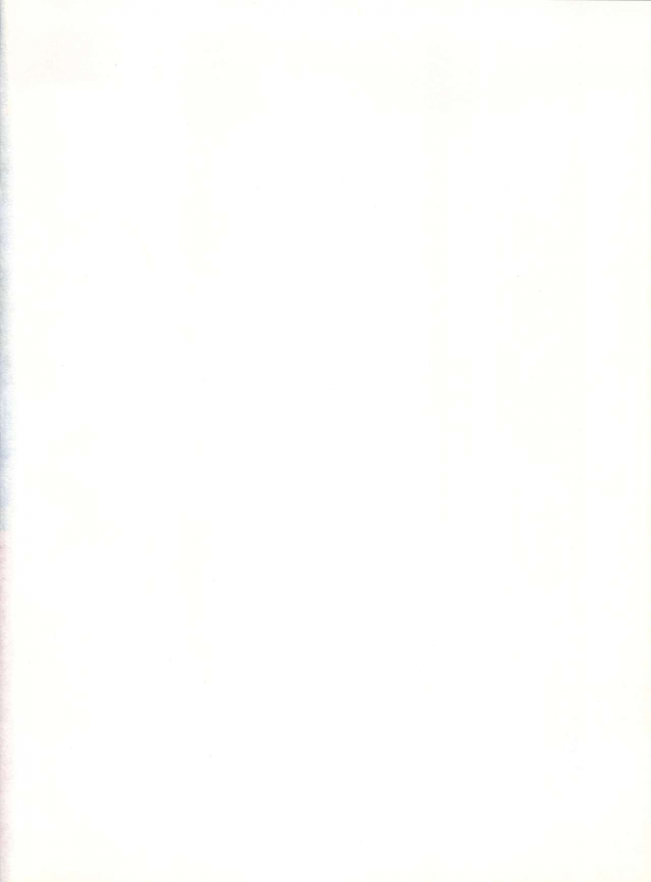 c40-pussy-cat-seisaku-iinkai-various-pussy-cat-vol-20-silent-mobius-silent-mobius-cyber-formula-street-fighter