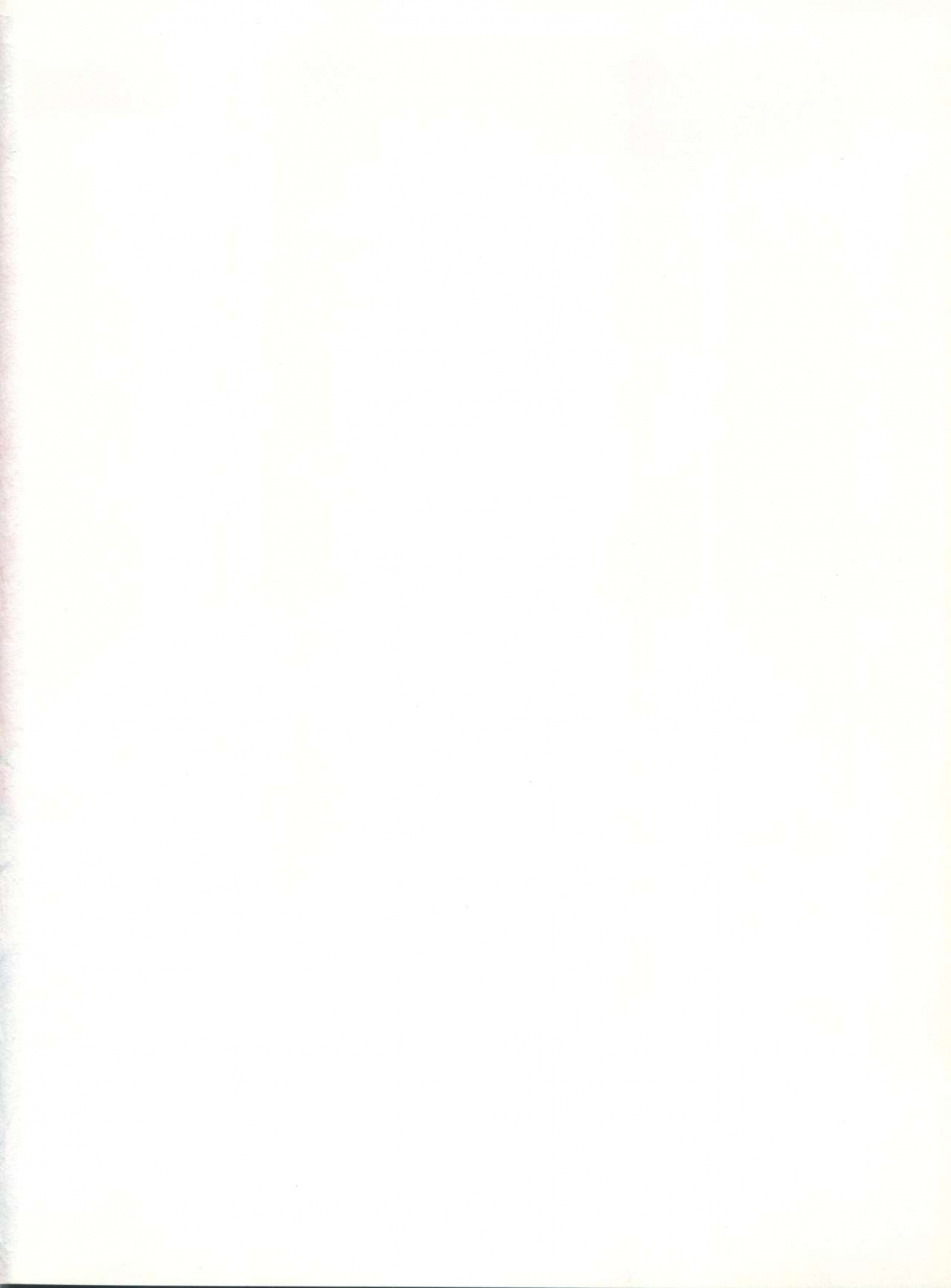 c40-pussy-cat-seisaku-iinkai-various-pussy-cat-vol-20-silent-mobius-silent-mobius-cyber-formula-street-fighter