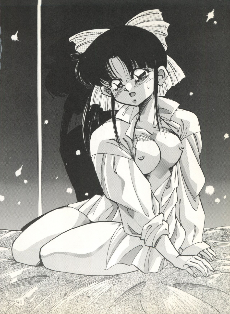 c40-pussy-cat-seisaku-iinkai-various-pussy-cat-vol-20-silent-mobius-silent-mobius-cyber-formula-street-fighter