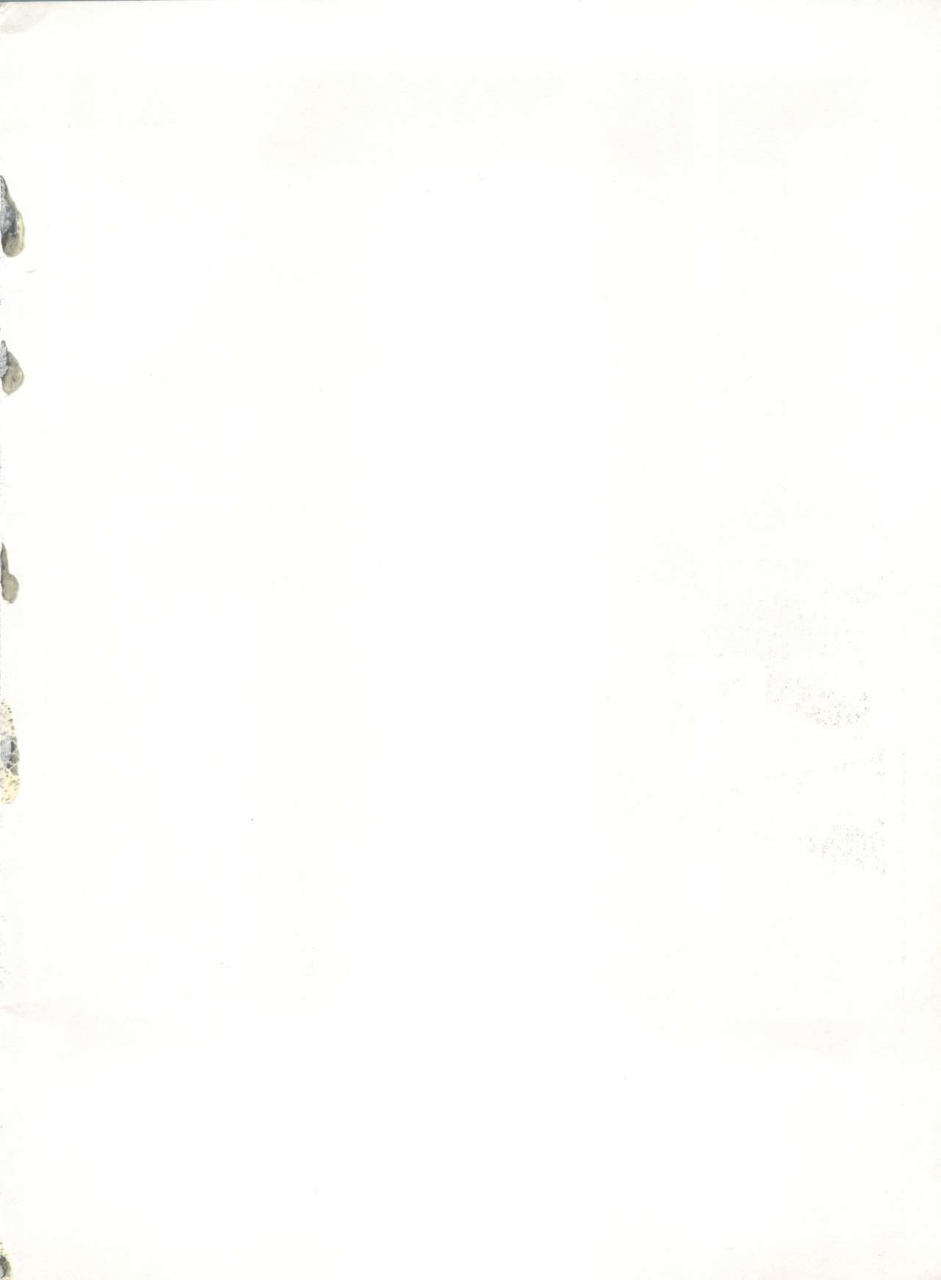 c46-derolian-shark-yaminabe-bazooka-bishoujo-senshi-sailor-moon