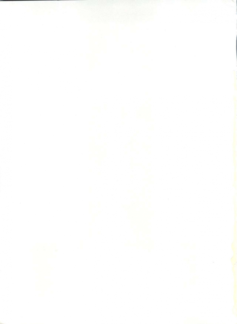 c46-derolian-shark-yaminabe-bazooka-bishoujo-senshi-sailor-moon