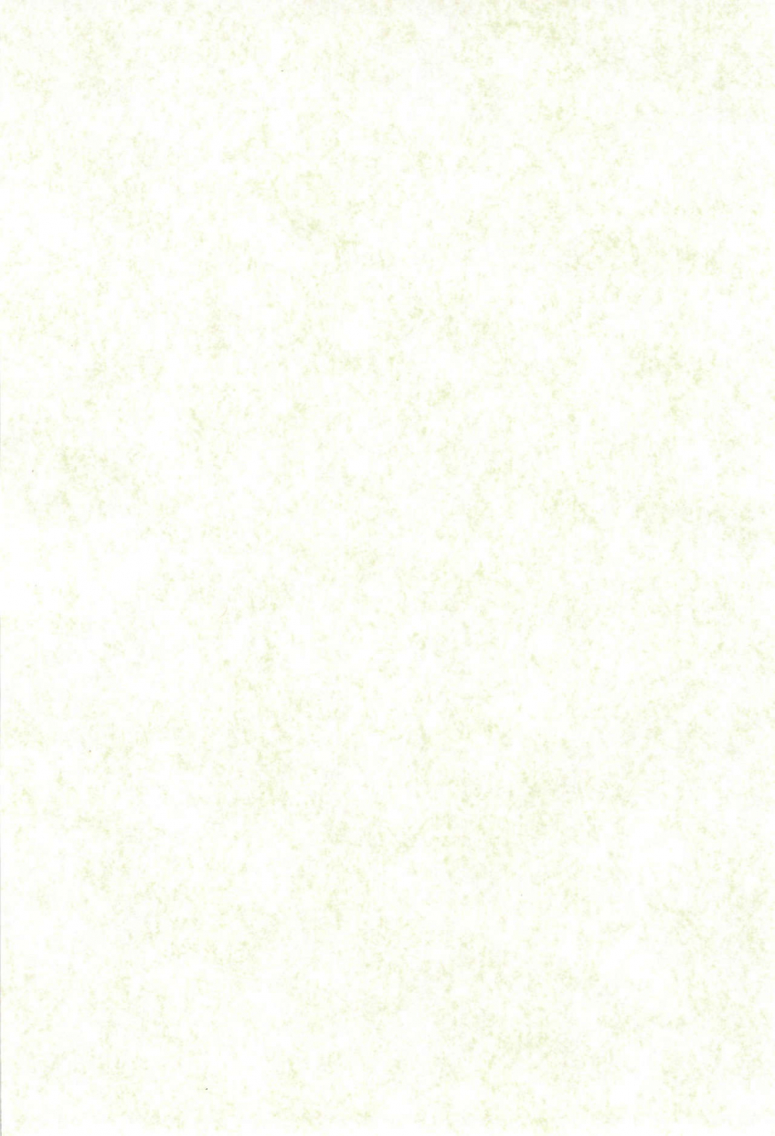 c62-sanore-yuyu-sairoku-digimon