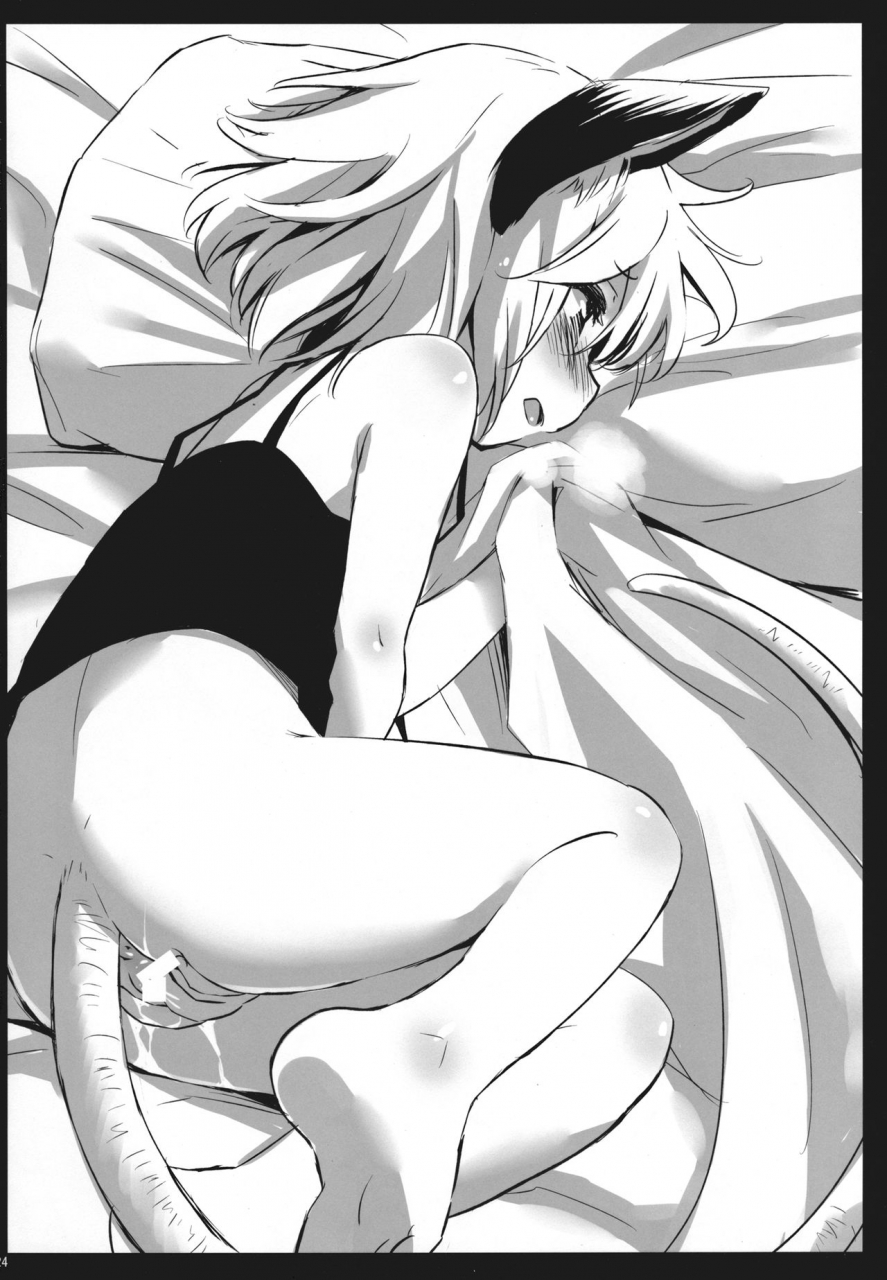 c86-animal-passion-yude-pea-tanuki-yamabiko-juuban-shoubu-tanuki-vs-yamabiko-10-rounds-match-touhou-project-english-tabunne-scans