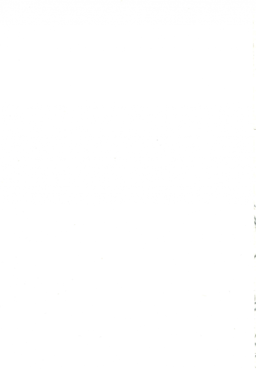 c86-green-ketchup-zhen-lu-no-rin-bokujou-e-youkoso-welcome-to-nourin-farm-no-rin-english