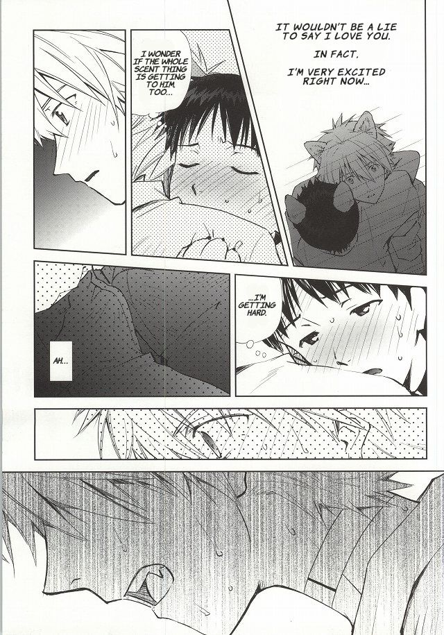 c87-getsumen-spiral-mayama-satori-wanko-na-kareshi-otonamuke-neon-genesis-evangelion-english