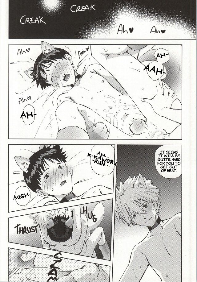 c87-getsumen-spiral-mayama-satori-wanko-na-kareshi-otonamuke-neon-genesis-evangelion-english