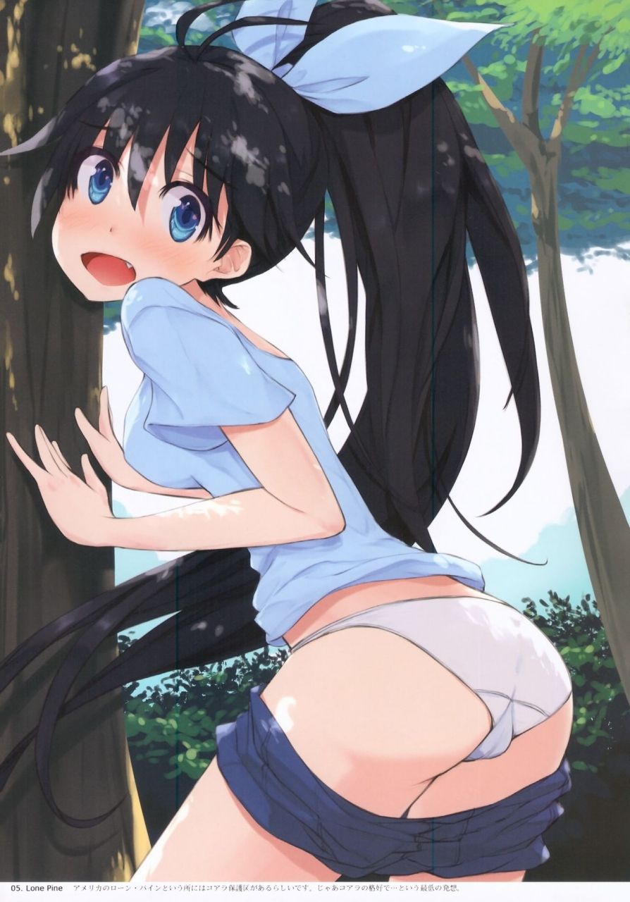 c85-asterismasterisk-hadou-the-idolm-at-ster