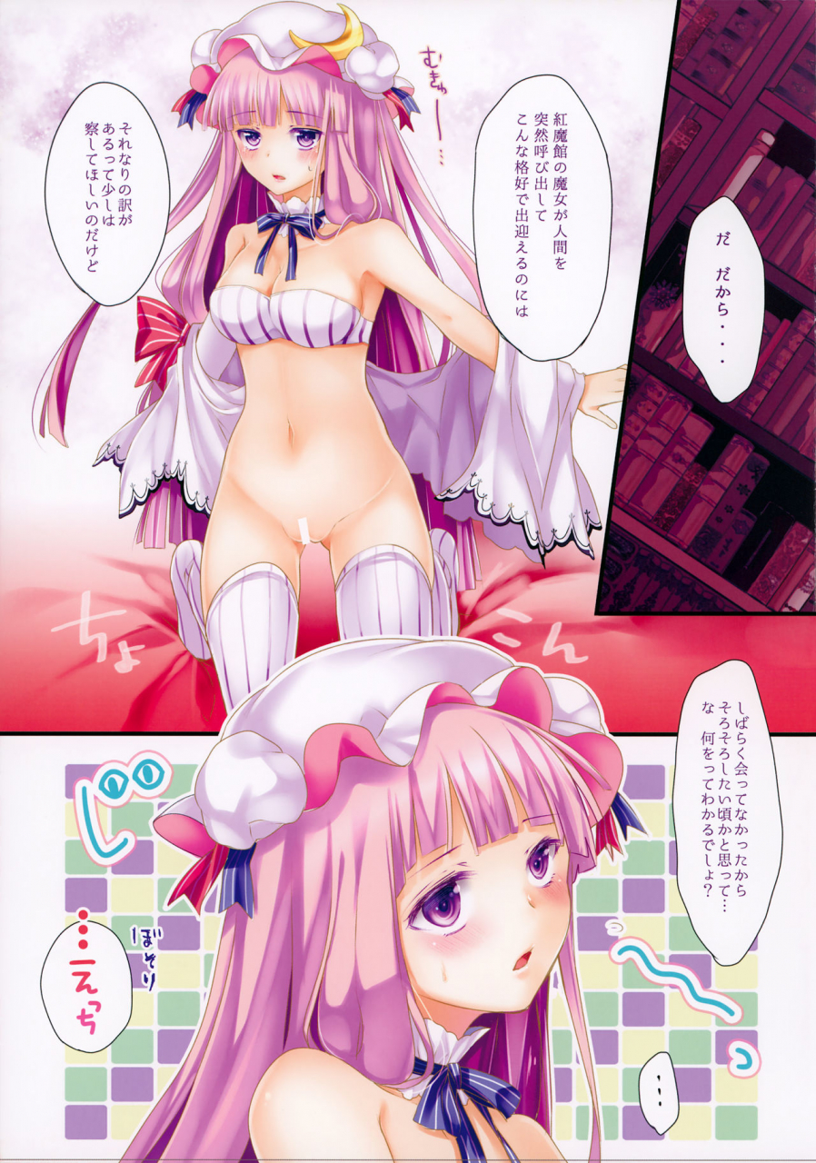 c86-aane-hoozuki-shia-patchenist-touhou-project