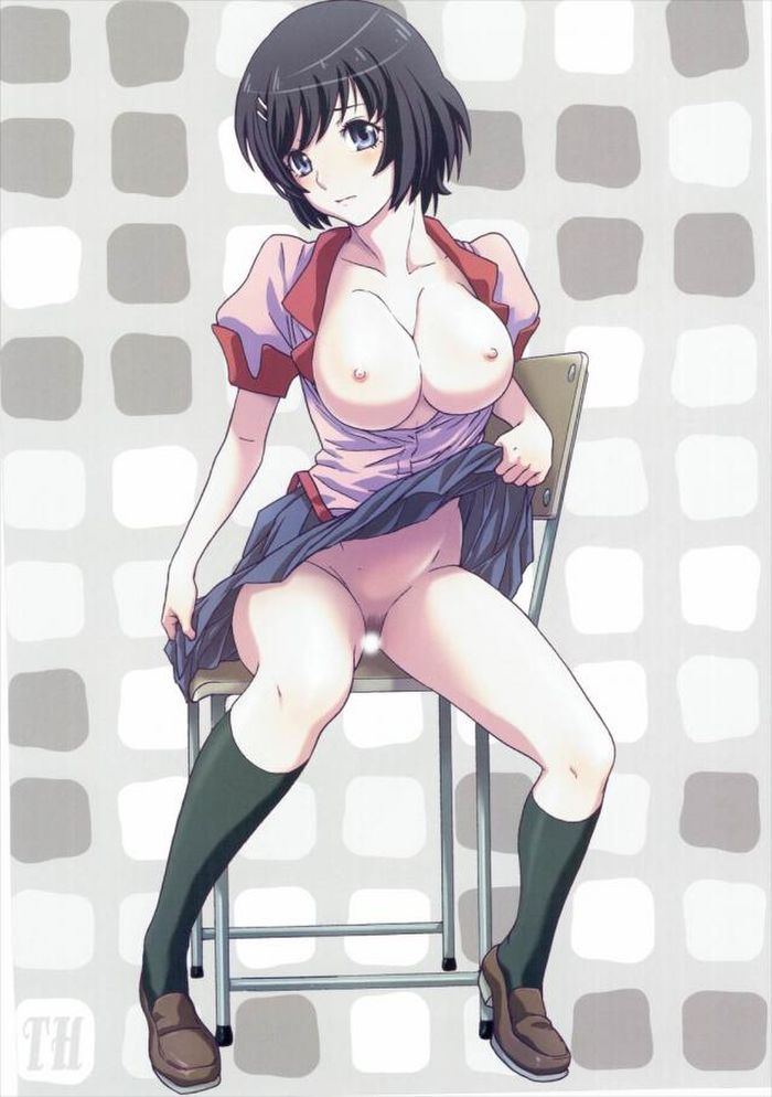 c90-studio-pal-nanno-koto-matometa-monogatari-ni-bakemonogatari