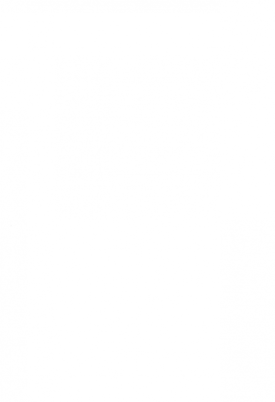 c95-sutorobokonbu-darius-kun-usagi-pouch-1-2