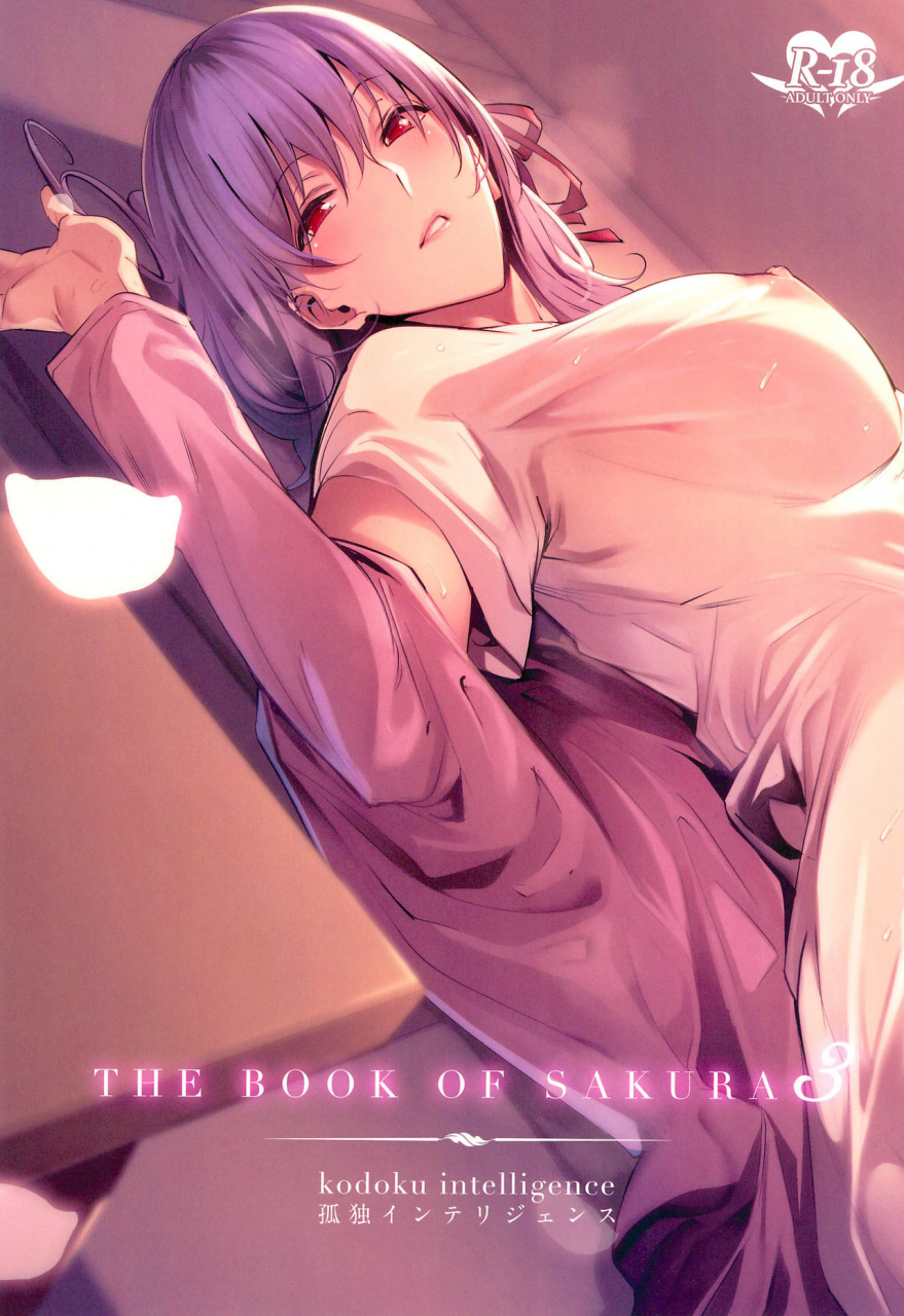 c96-kodoku-intelligence-nanao-the-book-of-sakura-3-fatestay-night