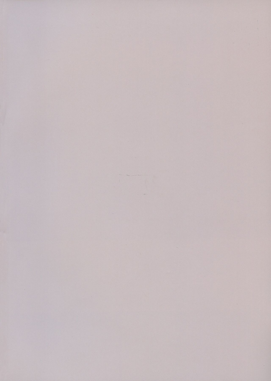 c92-hanibi-land-hanibi-astolfo-to-yoru-no-chaldea-fategrand-order-english-ehcove