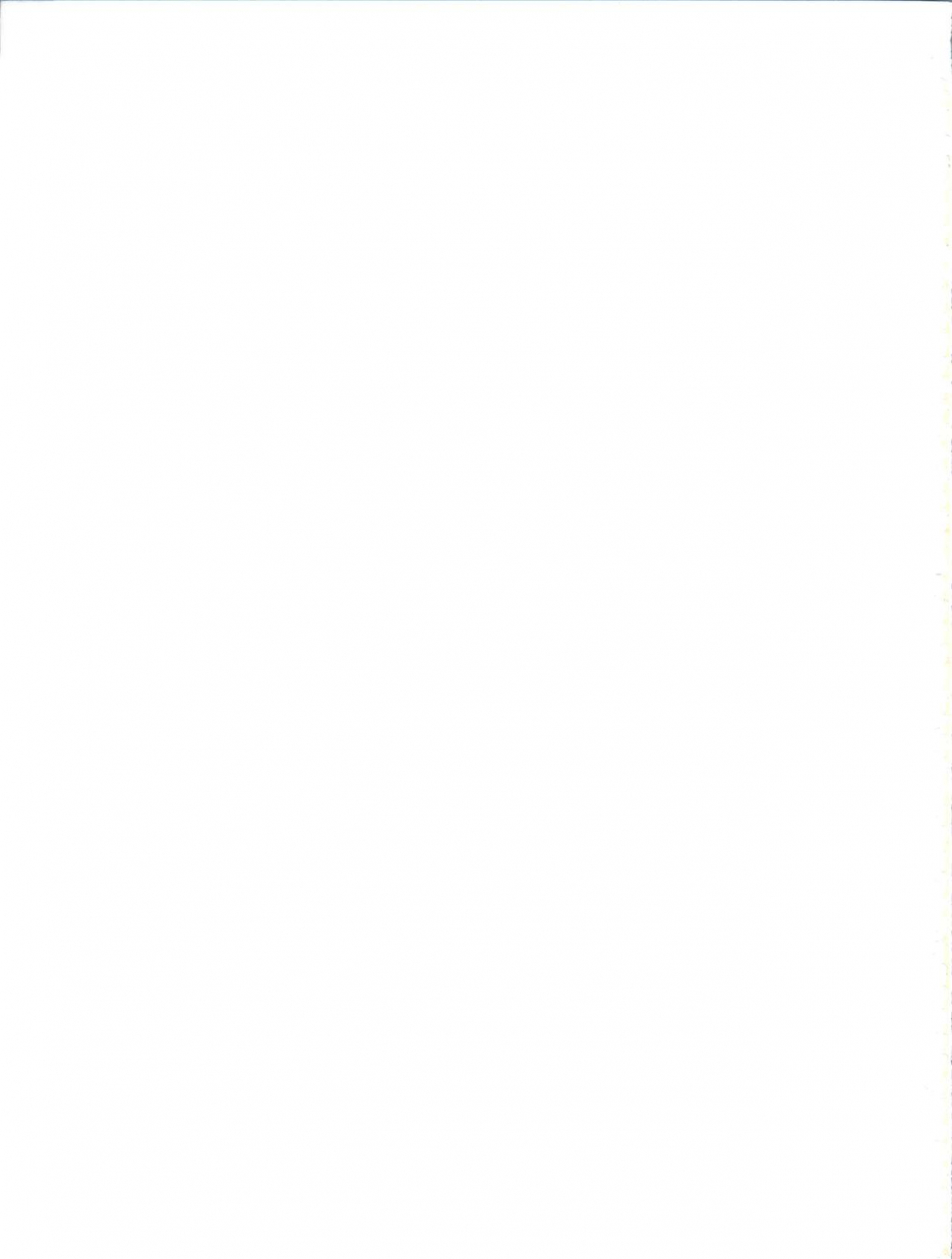 c93-brain-dead-eiji-sefri-sae-ireba-ii-imouto-sae-ireba-ii-english-nananoouji