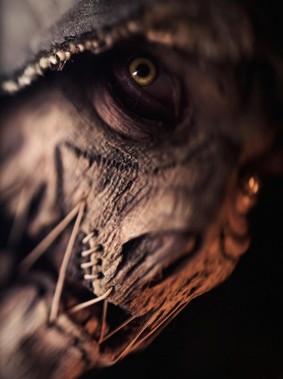 scarecrow-batmanscarecrow-dc