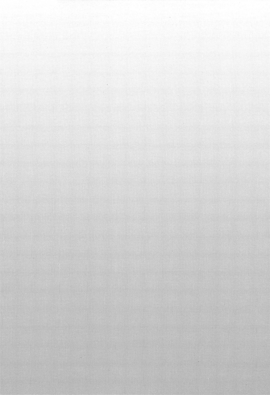 c97-kingyo-origin-kayama-rim-shiyounin-no-kyuujitsu-touhou-project