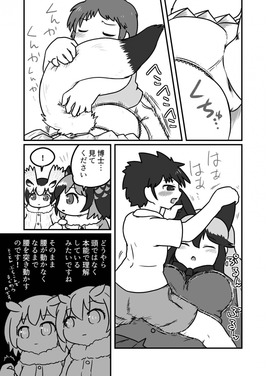 c97-koko-ga-ano-onna-no-house-ne-various-gin-gin-gitsune-goudoushi-kemono-friends