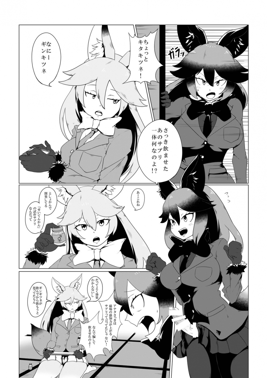 c97-koko-ga-ano-onna-no-house-ne-various-gin-gin-gitsune-goudoushi-kemono-friends