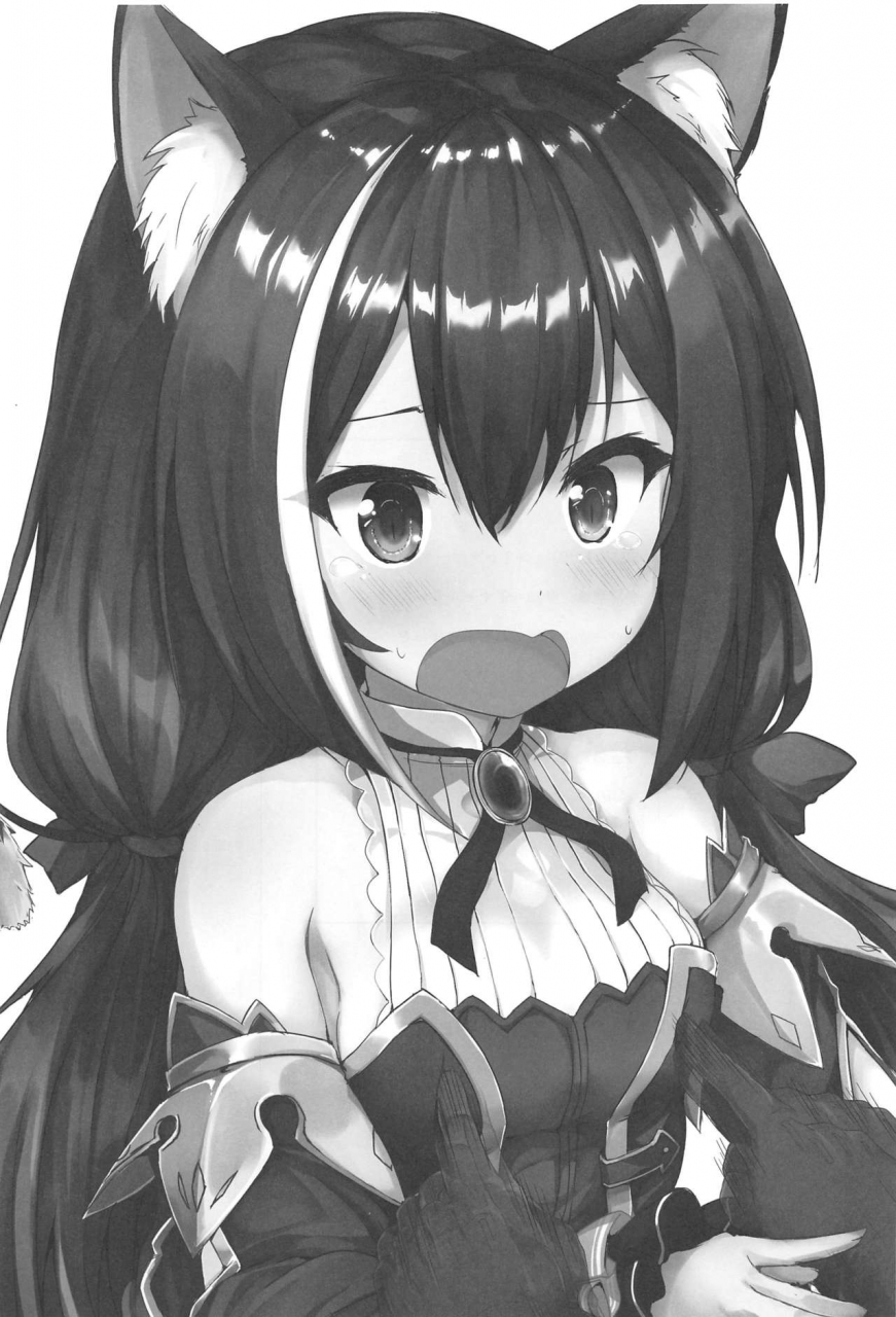 c97-nechorapoddo-nanpuu-muchikko-kyaru-chan-princess-connect-redive