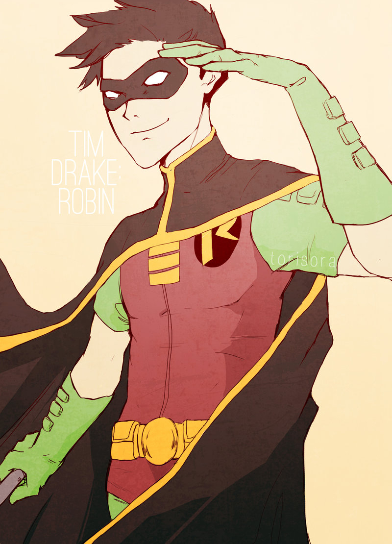 robin-dctim-drake