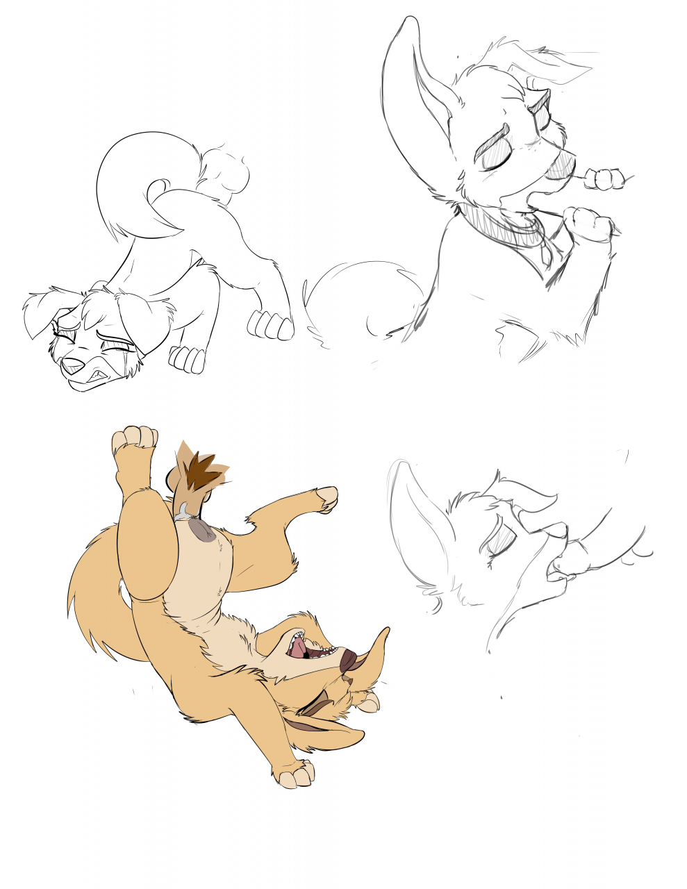 angel-lady-and-the-tramp