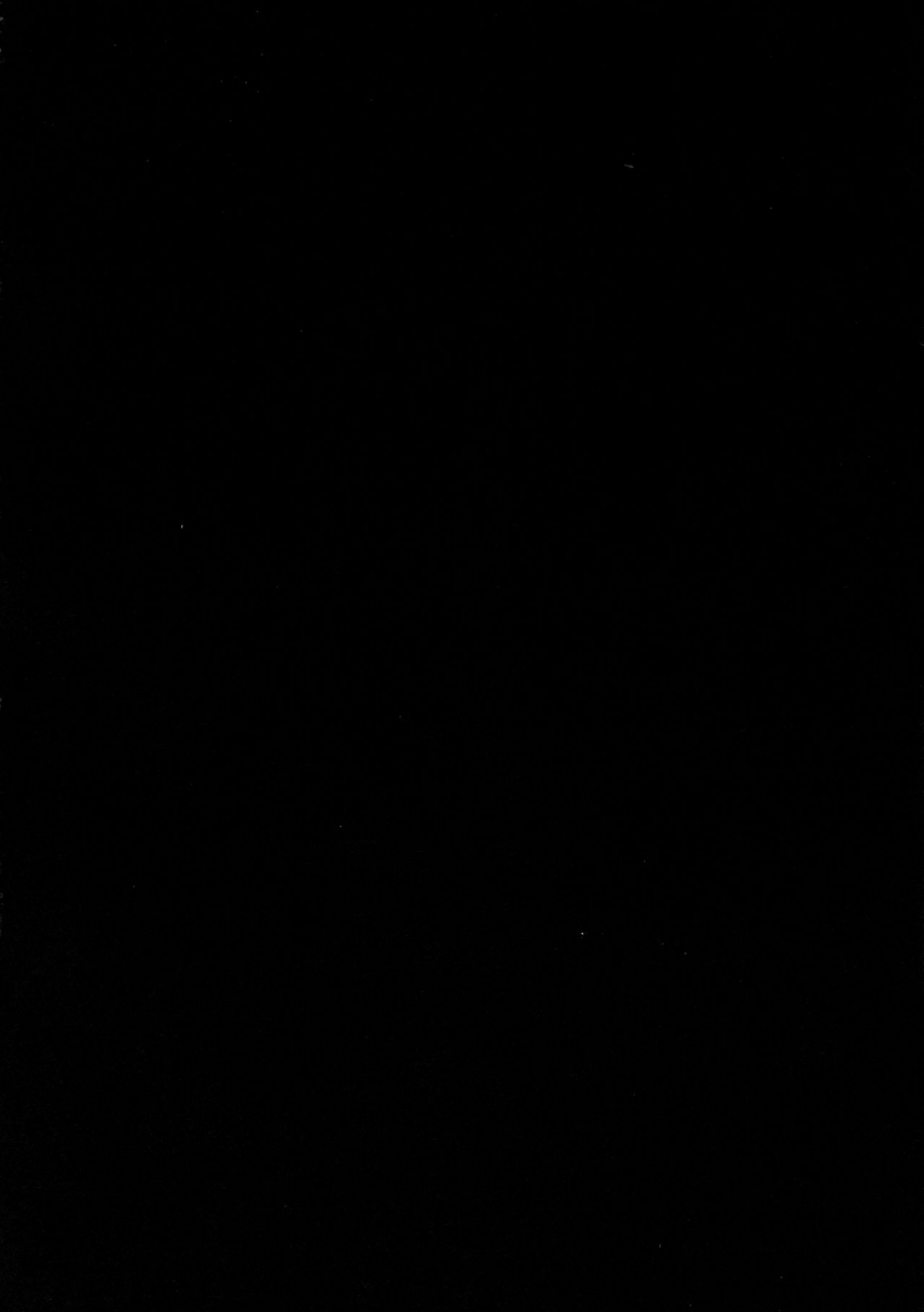 c95-banana-koubou-ao-banana-oni-to-majo-no-buta-san-master-sakusei-ecchi-fategrand-order-english