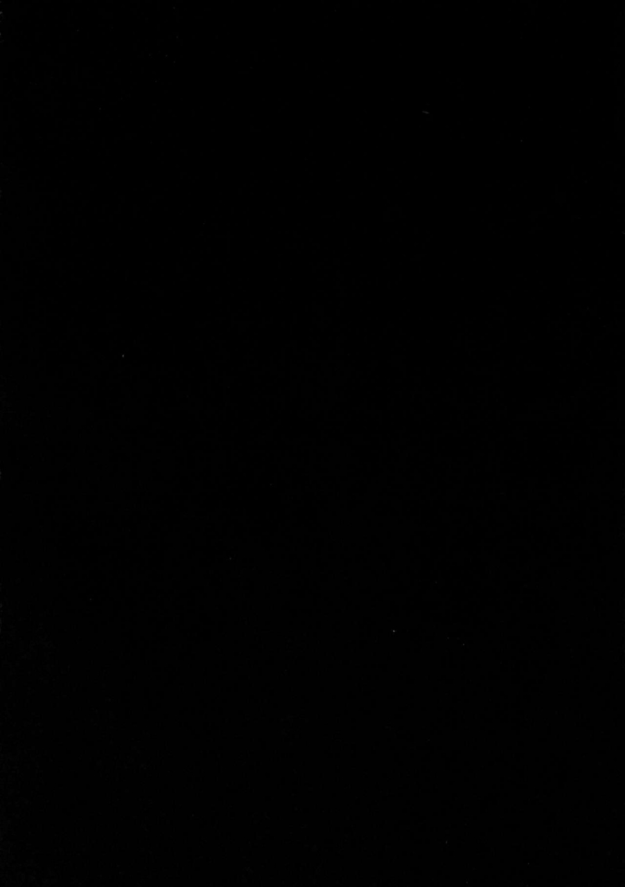 c95-banana-koubou-ao-banana-oni-to-majo-no-buta-san-master-sakusei-ecchi-fategrand-order-english-constantly