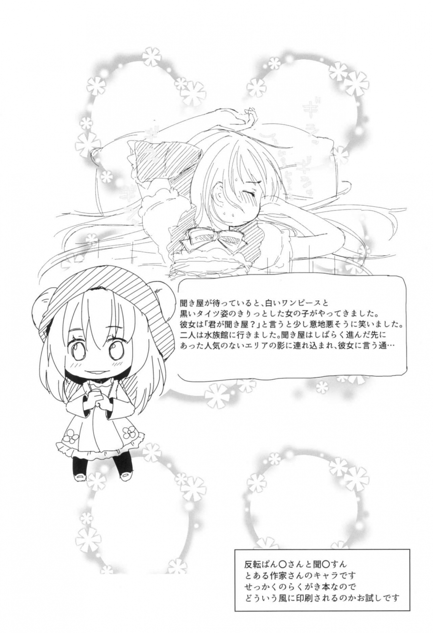 c97-sutorobokonbu-darius-kun-usagi-pouch-3