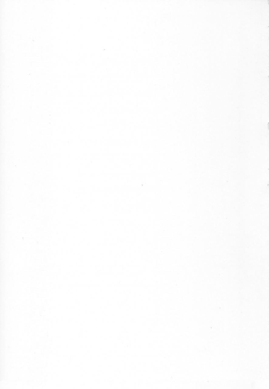 c97-tenkirin-kanroame-datte-fuku-taka-iindamon-pokemon-sword-and-shield-pokemon-sun-and-moon