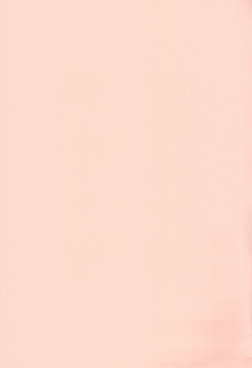 c97-tori-no-ya-mashikodori-futari-de-araikko