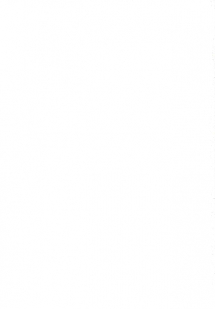 c97-totsugasa-sagattoru-harenchi-yuuenchi-fategrand-order