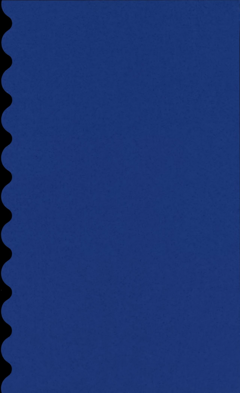 c95-kaochuu-kingdom-sisei-chi-no-tsunagaranai-otouto-2-english-mysterymeat3