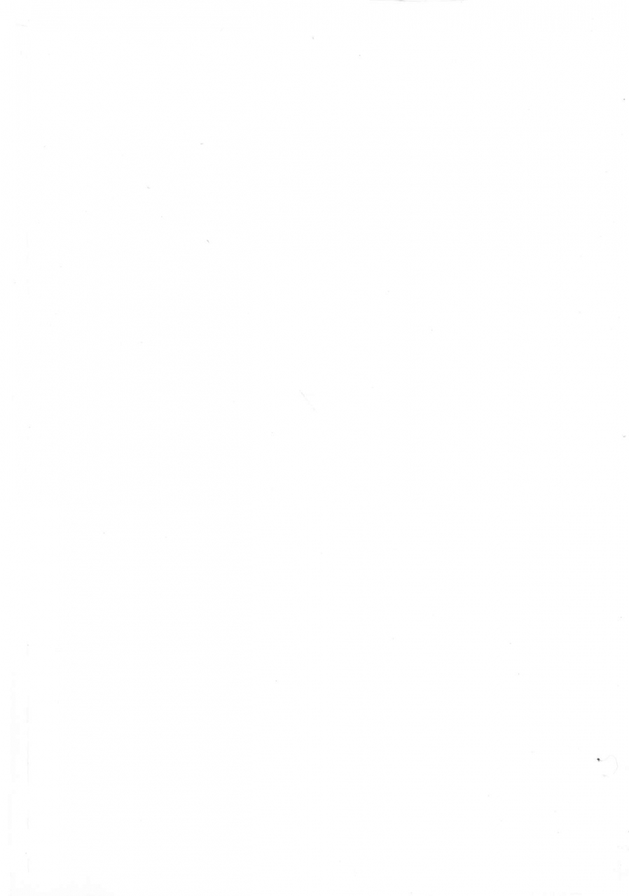 c97-uchuuporta-kawa-dekoboko-love-sister-soushuuhen-one-punch-man