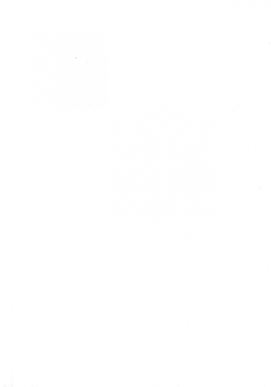 c97-uchuuporta-kawa-dekoboko-love-sister-soushuuhen-one-punch-man