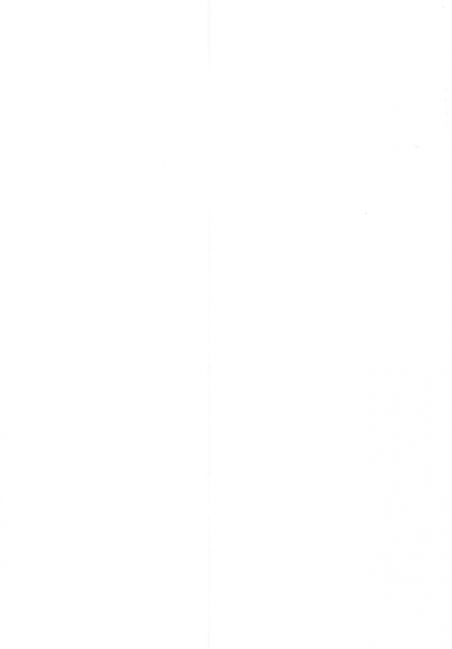 c97-yakusoku-no-kaigansen-yosai-hatsujou-lambda-ni-sakusei-sareru-hon-fategrand-order