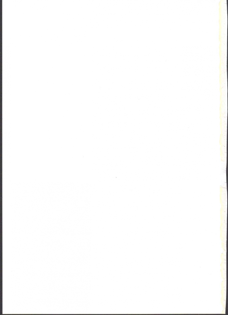 c95-pyworks-nyuutora-sacrifice-goblin-slayer-english