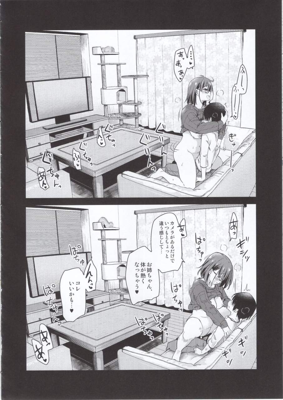 comitia131-shin-hijiridou-honpo-hijiri-tsukasa-pet-mimamori-camera-ni-ane-to-otouto-no-sex-ga-utsutteta