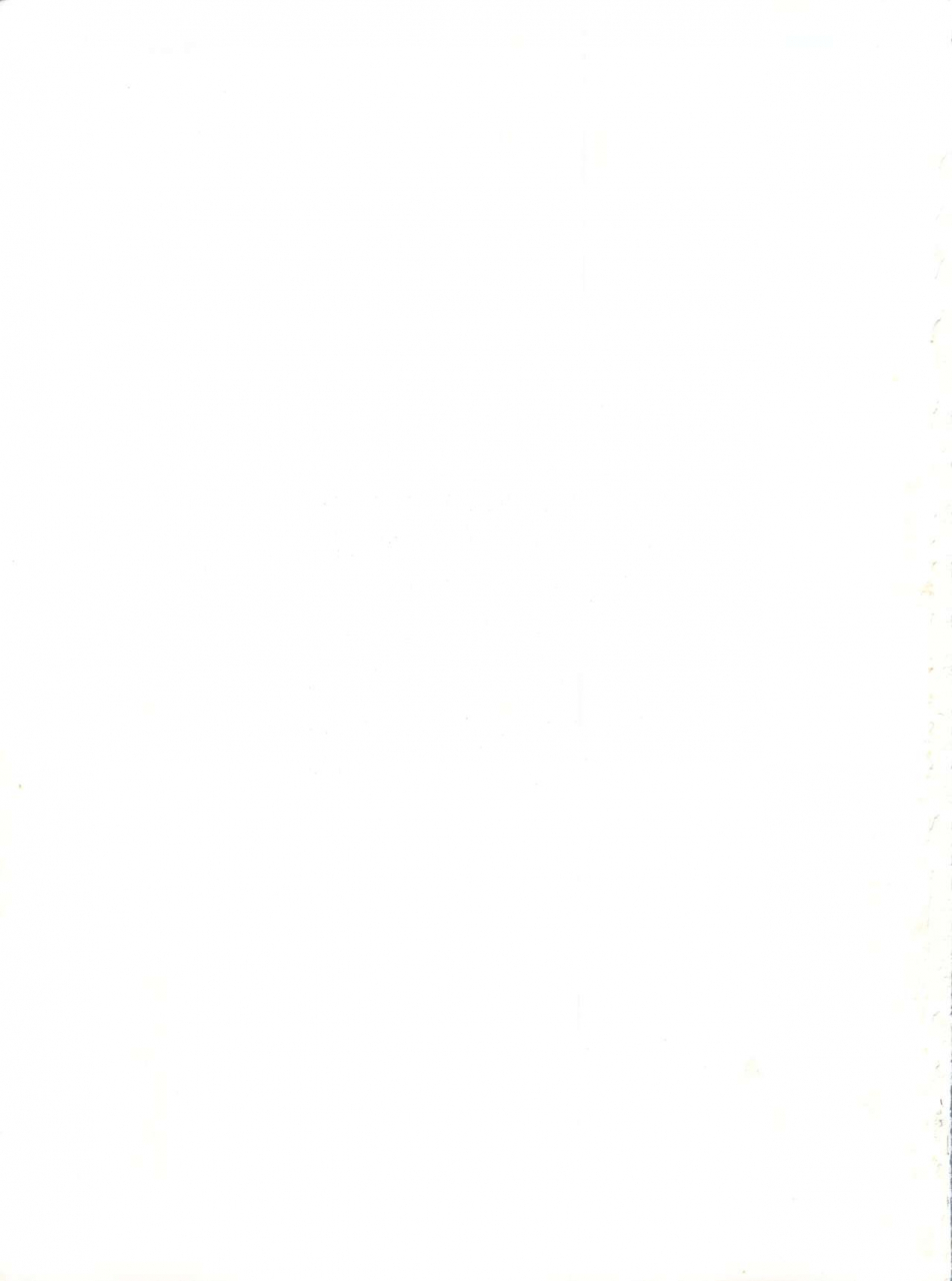 cr16-sairo-publishing-jsairo-yamainu-vol-1-slayers-bishoujo-senshi-sailor-moon