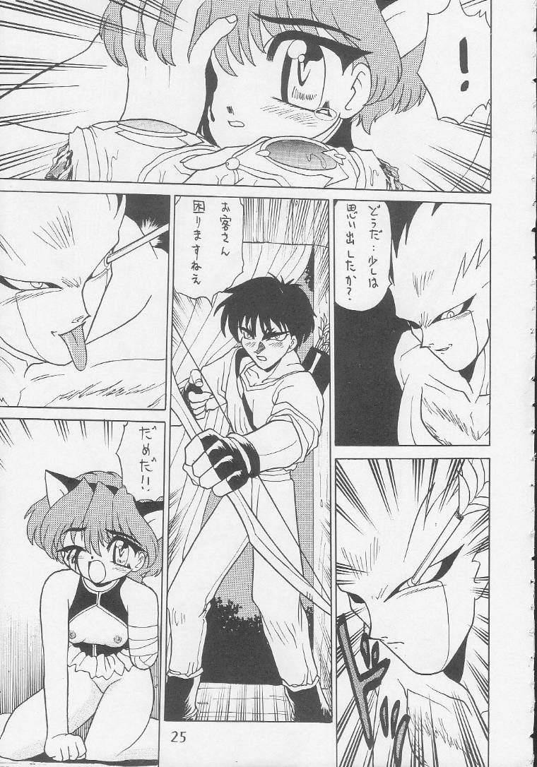 cr17-handsome-dan-various-play-station-various