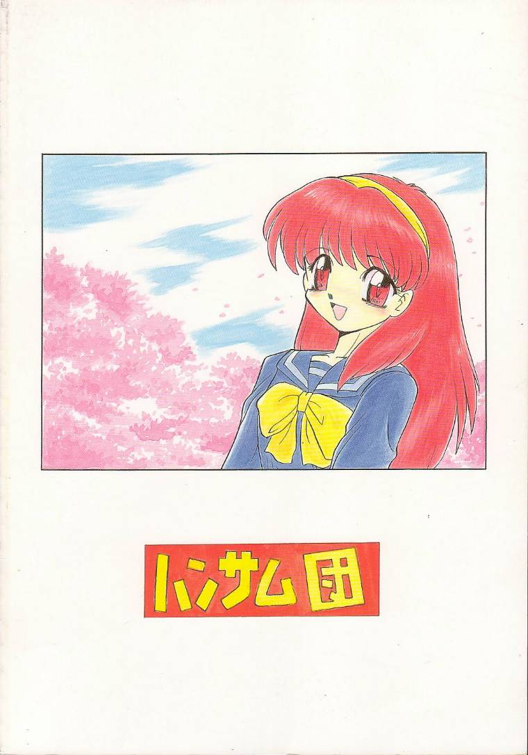 cr17-handsome-dan-various-play-station-various