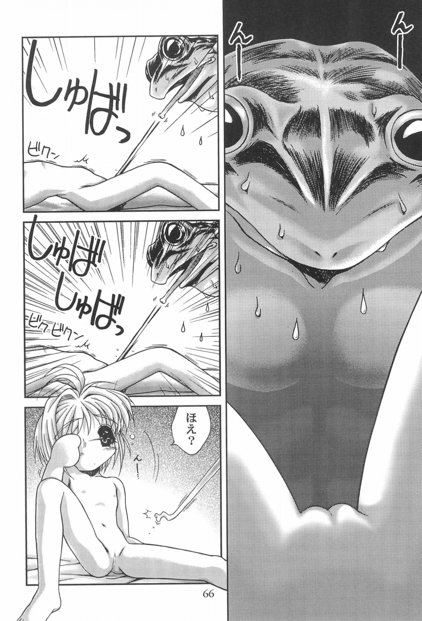 cr23-henshitsusha-magnabross-mcnail-koubou-various-card-captor-sakura-ganbaru-card-captor-sakura