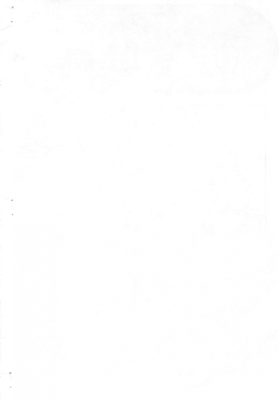 cr26-nipa2-company-okina-magic-mushroom-ojamajo-doremi