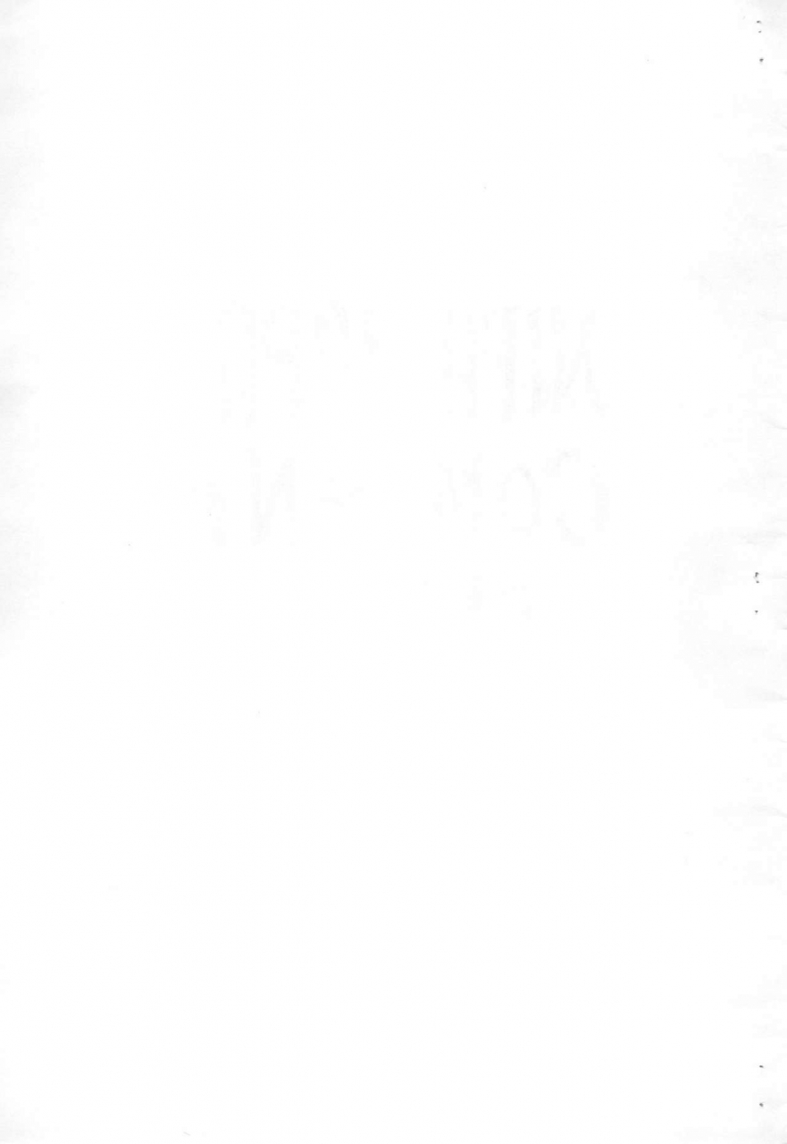 cr26-nipa2-company-okina-magic-mushroom-ojamajo-doremi