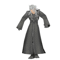 organization-xiiixemnas