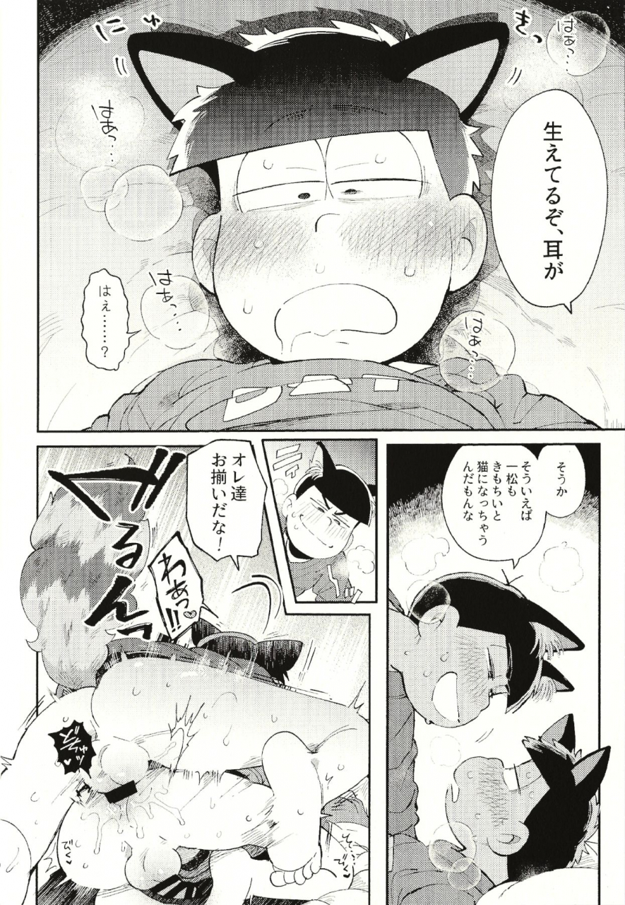 kahou-wa-nete-matsu-spark-2019-momoiro-netsuduki-kisaki-nana-cat-mating-osomatsu-san